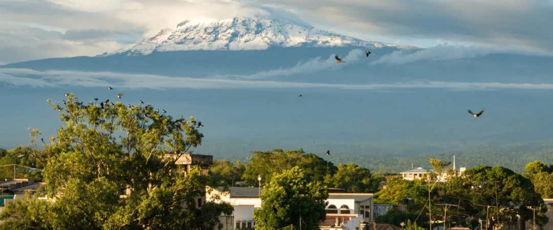 Kilimanjaro | Bawa African Tours